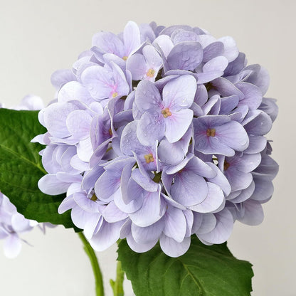 4PCS 19.6Inch Violet Blue Faux Hydrangea Artificial Flowers Silk Latex Realistic Full Large Hydrangeas Spring Long Stem Leaves Bouquet Plants for Tall Vase Table Garden Arrangements