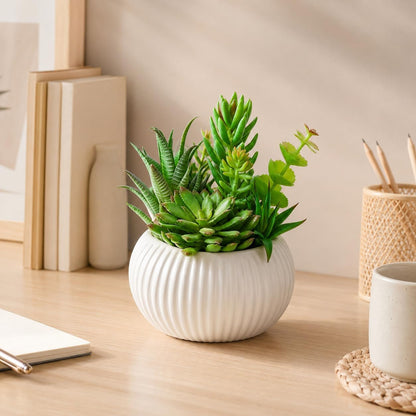 8 Inch Fake Plants Artificial Succulent Plants，Black Ceramic Flower Pot，Assorted Faux Mini Succulents in a Decorative Planter Pot.