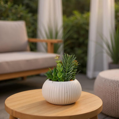 8 Inch Fake Plants Artificial Succulent Plants，Black Ceramic Flower Pot，Assorted Faux Mini Succulents in a Decorative Planter Pot.