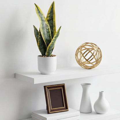 2 Pack Artificial Snake Plant Fake Sansevieria Trifasciata 14.18" Tropical Faux Snake Plant Fake Potted Plants for Office Desk Home Living Room Indoor Decor Housewarming Gift