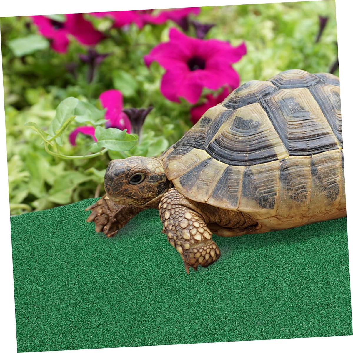 Simulation Grass Mat Turtle Terrace for Reptile Tank Basking