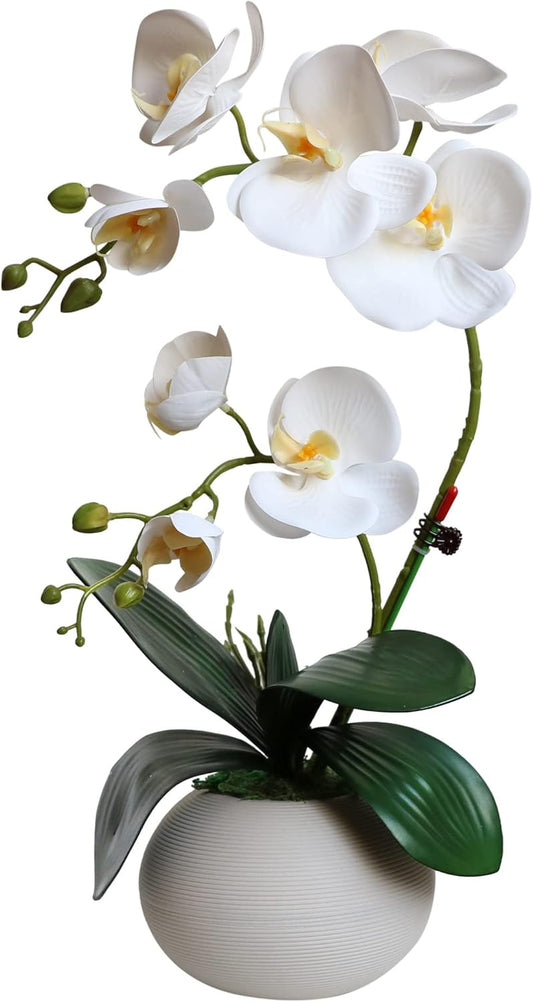 Tall 17" White Real Touch Orchid Artificial Flowers with Vase Fake Orchids Silk Floral for Home Decor Indoor Bathroom Decoration Potted Office Table Top Centerpieces Arrangements