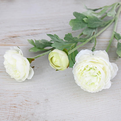 6PCS Artificial Ranunculus Flowers with Real Touch Stem for Household Arrangement (Light Orange)