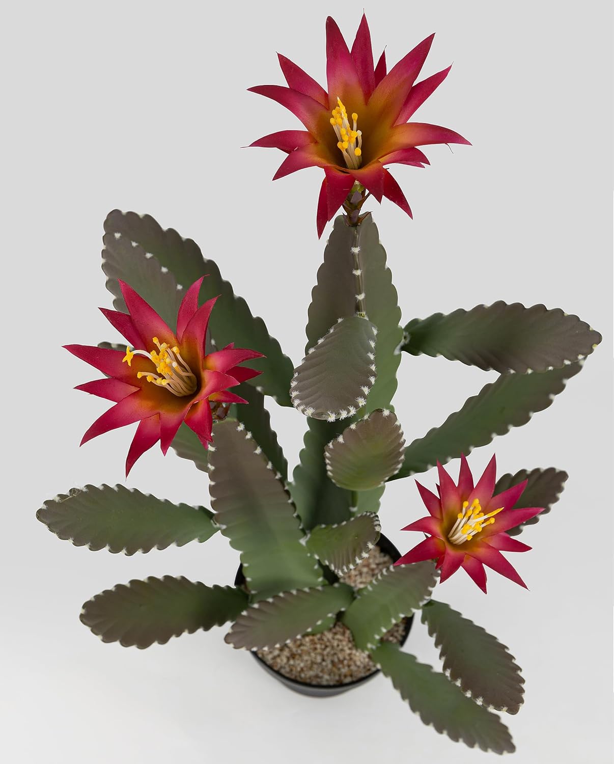33 Inch Large Artificial Cactus with Lilly White Flowers in Pot with Natural Gravel. Satin Finish Leaves with Real Look and Feel. Outdoor and Indoor Faux Plants.