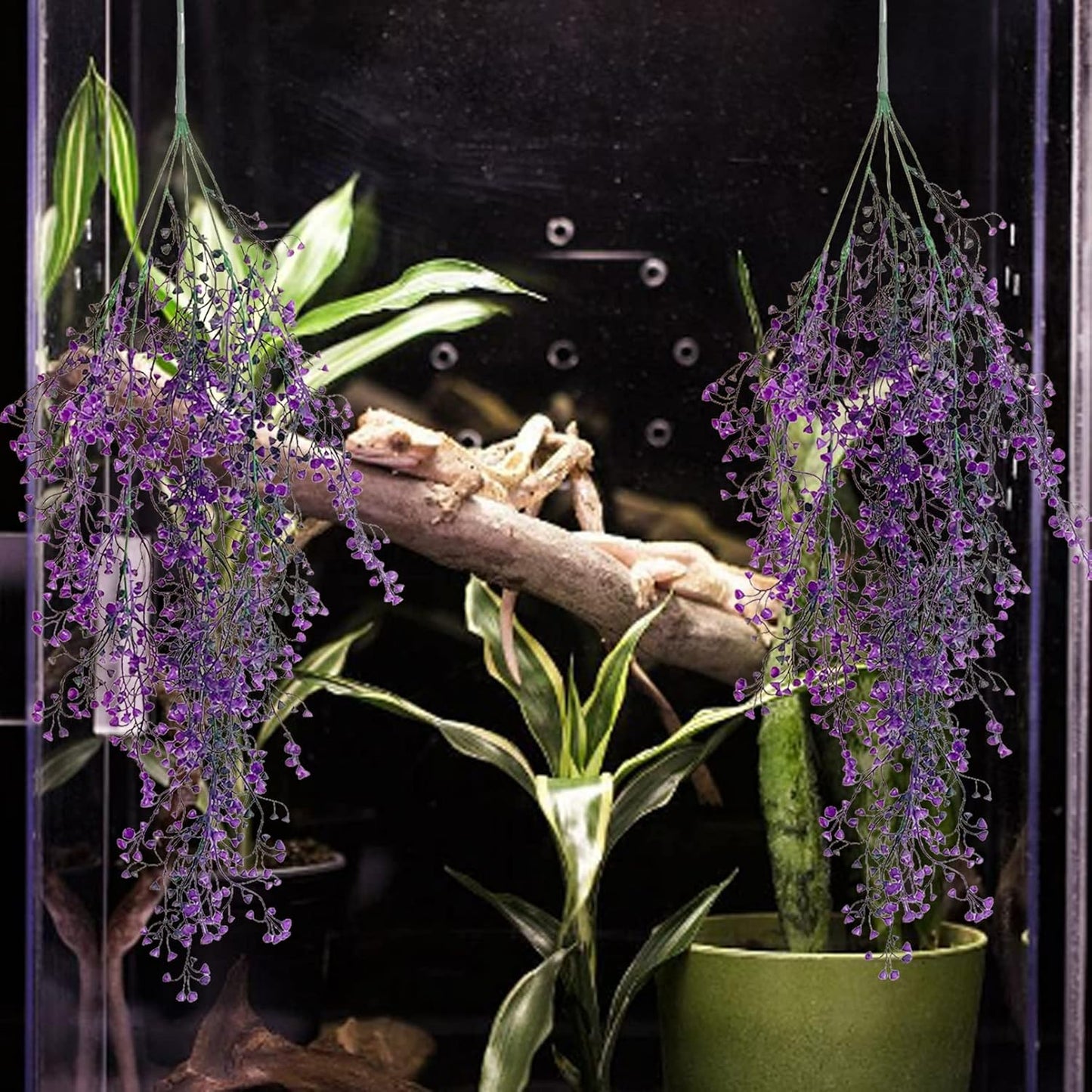 Hanging Plants for Reptile Tank,Bearded Dragon Plastic Flexible Fake Vines Plant Leaves with Suction Cup Lizards Terrarium Habitat Decorations for Geckos Turtles Snake Frog Chameleon(2 Pcs)