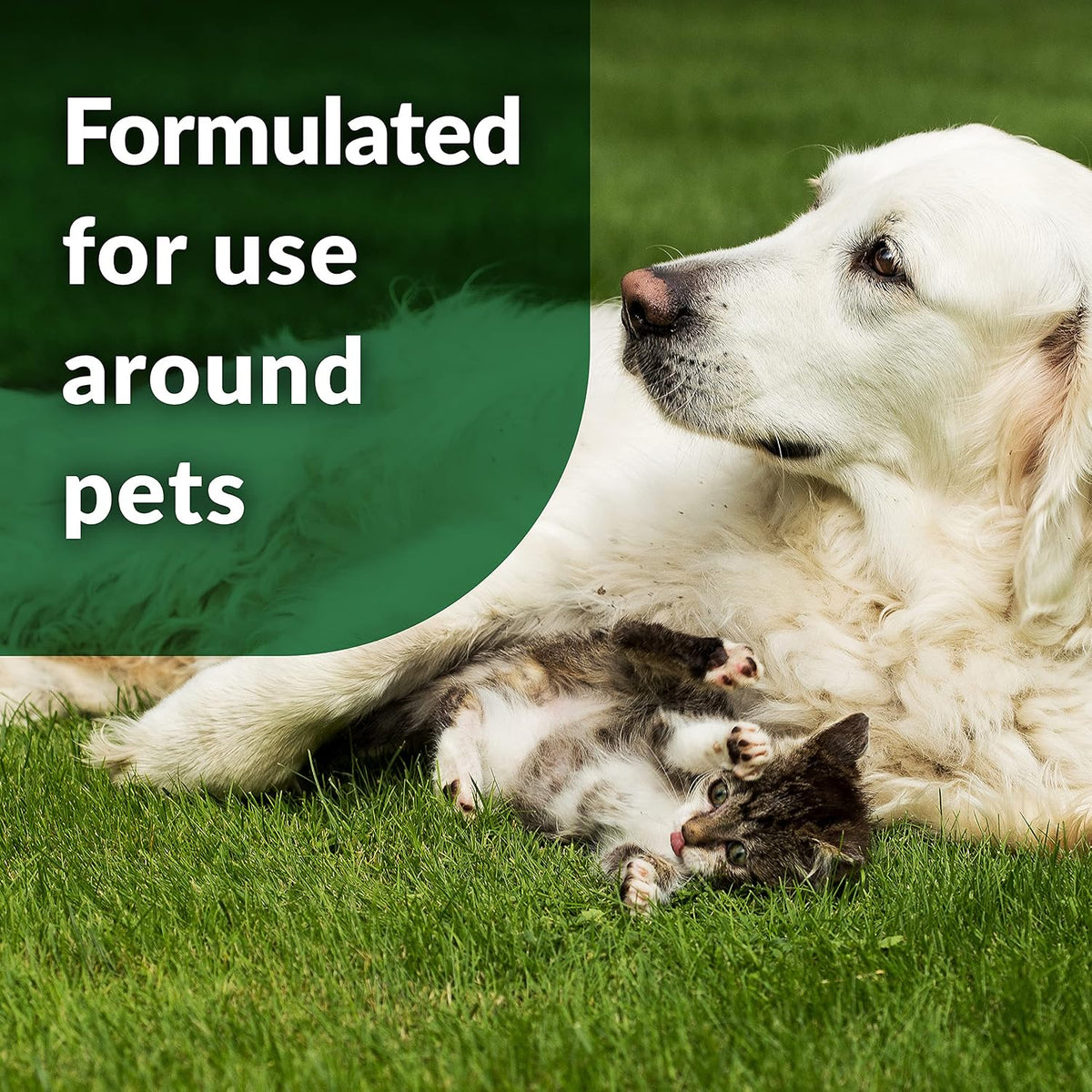 Outdoor Odor Eliminator for Pets, Dogs, 1 Gallon Refill - Ideal for Artificial Lawns & Patio, Milky White