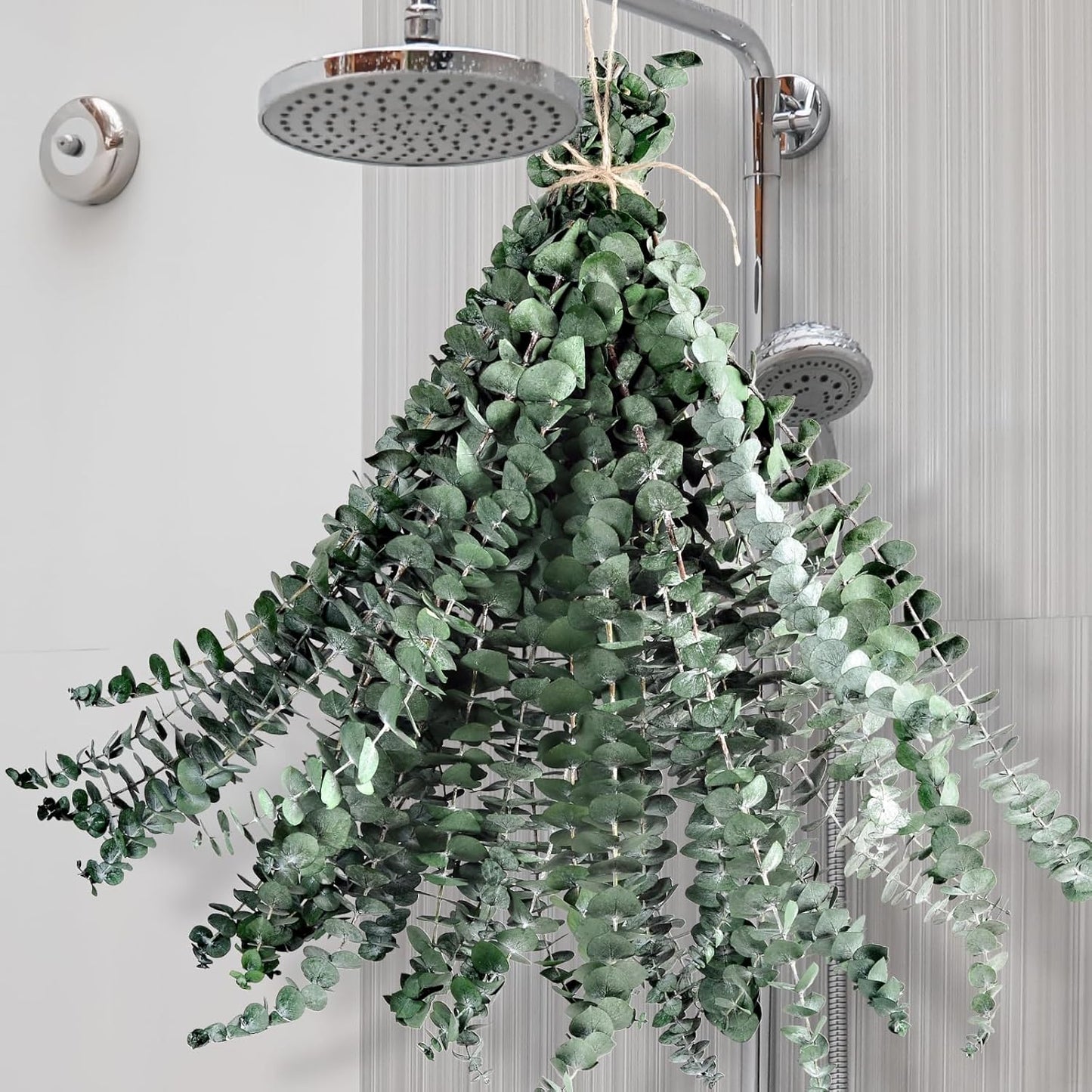 12PCS Dried Eucalyptus for Shower Hanging Real Preserved Eucalyptus Stems | 17'' IN Green Home Decor, 100% Made from Fresh Eucalyptus Leaves, Bathroom Shower Decor, Wedding, DIY