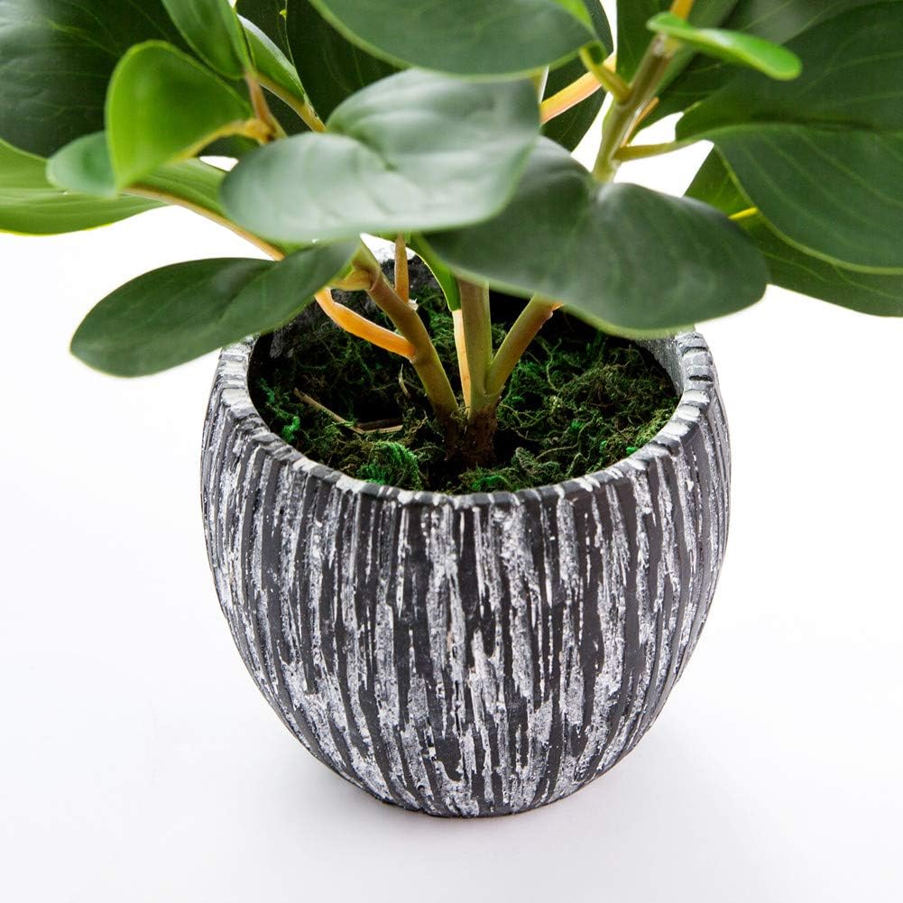 Fake Plants Potted Artificial Succulents Home Office Decor