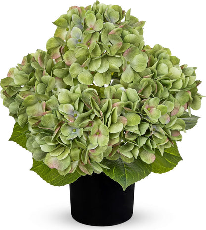 Blue Hydrangea Artificial Flowers in Pot Large Silk Three-Head Hydrangeas Flowers Fake Flowers Arrangements for Indoor Home Office Kitchen Table Centerpieces Wedding Decorations