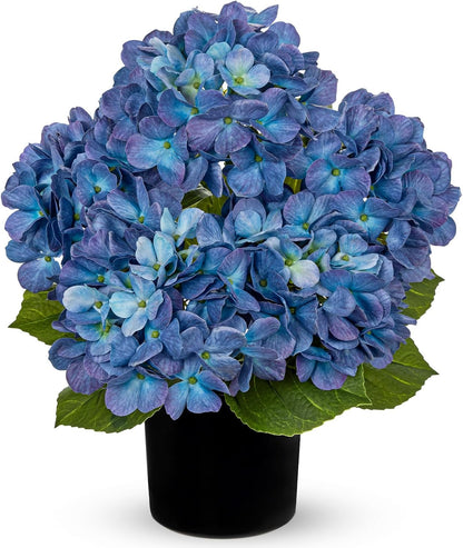 Blue Hydrangea Artificial Flowers in Pot Large Silk Three-Head Hydrangeas Flowers Fake Flowers Arrangements for Indoor Home Office Kitchen Table Centerpieces Wedding Decorations