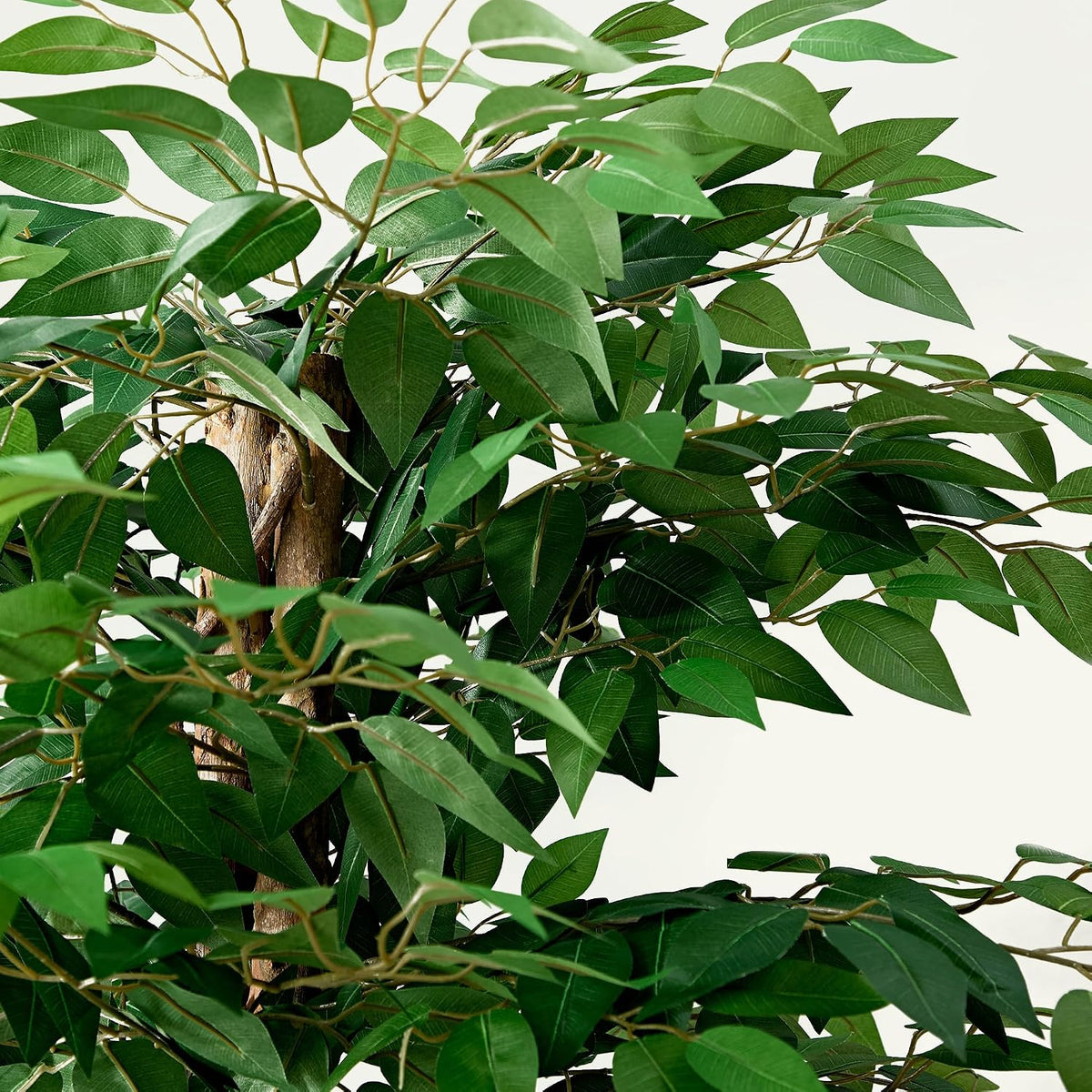 Ficus Tree Artificial 6 Feet, Tall Faux Tree in Pot, Fake Floor Plant with Realistic Tree Branch & Silk Leaves for Home Office Indoor Decor