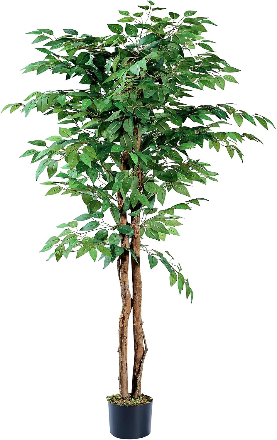 Ficus Tree Artificial 6 Feet, Tall Faux Tree in Pot, Fake Floor Plant with Realistic Tree Branch & Silk Leaves for Home Office Indoor Decor