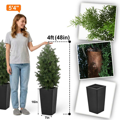 6ft Artificial Bird of Paradise Tree for Home Decor, 6 ft Faux Floor Plant Fake Silk Banana Leaf Tropical Trees with Pot for Indoor Outdoor House Living Room (6 feet Tall Including Raised Pot)