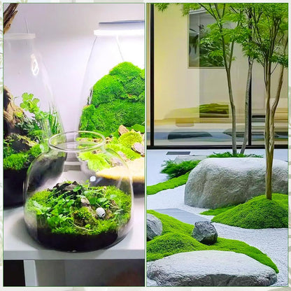 Artificial Moss for Crafts, 5.3OZ Fake Green Moss for Potted Plants, Faux Moss Decor for DIY Decorative, Walls,Table Centerpieces Decor Fairy Garden Model Making (150g)