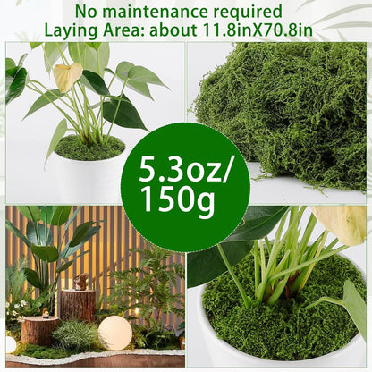 Artificial Moss for Crafts, 5.3OZ Fake Green Moss for Potted Plants, Faux Moss Decor for DIY Decorative, Walls,Table Centerpieces Decor Fairy Garden Model Making (150g)