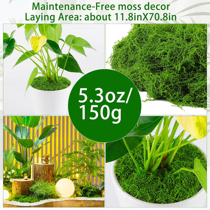 Artificial Moss for Crafts, 5.3OZ Fake Green Moss for Potted Plants, Faux Moss Decor for DIY Decorative, Walls,Table Centerpieces Decor Fairy Garden Model Making (150g)