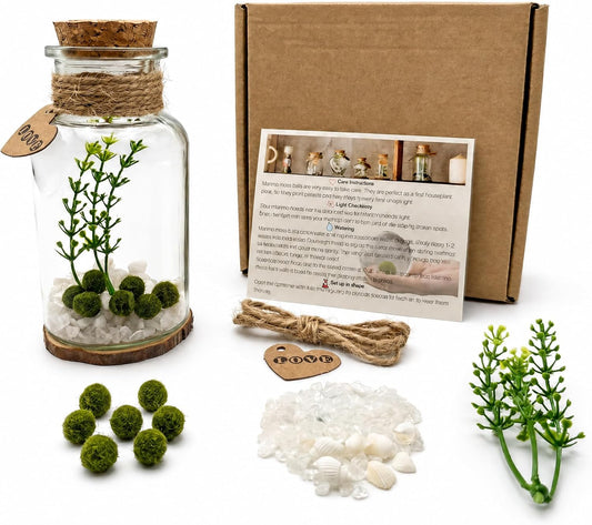 Moss Balls Glass Terrarium Kit - 7 Pcs Glass Terrarium Decor with White Crystal, DIY Aquarium and Home Decor for Desk and Room Styling
