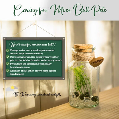 Moss Balls Glass Terrarium Kit - 7 Pcs Glass Terrarium Decor with White Crystal, DIY Aquarium and Home Decor for Desk and Room Styling