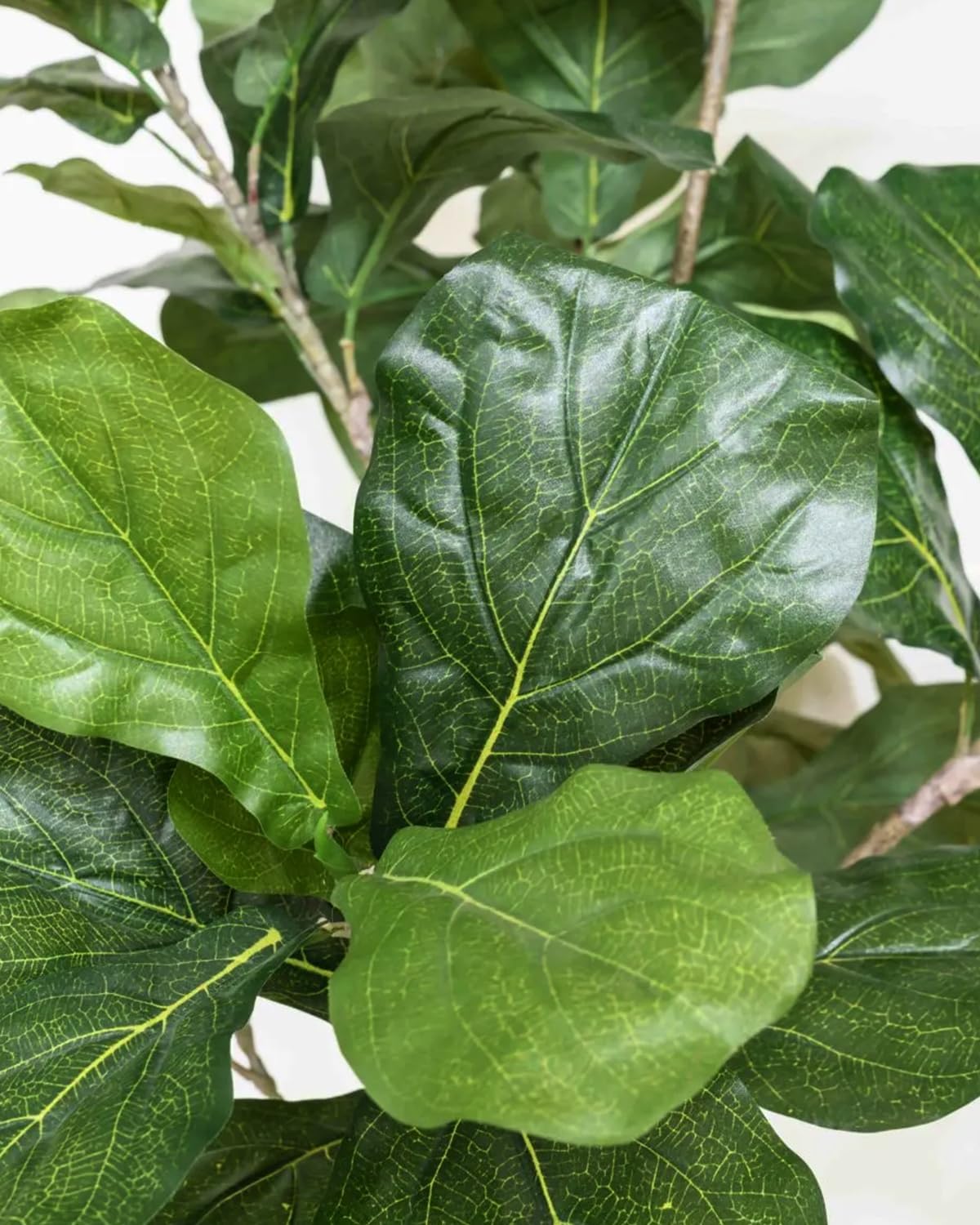 Artificial Fiddle Leaf Fig Tree 6FT with Cotton Basket