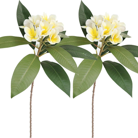 2PCS Artificial Plumeria Frangipani Flower Long Stem Real Touch Lifelike for Wedding Home Party Autumn Flowers Decoration (70CM, Beige)