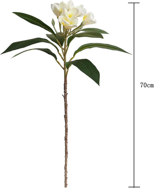 2PCS Artificial Plumeria Frangipani Flower Long Stem Real Touch Lifelike for Wedding Home Party Autumn Flowers Decoration (70CM, Beige)