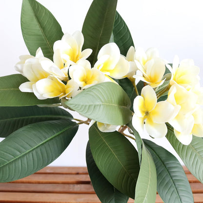 2PCS Artificial Plumeria Frangipani Flower Long Stem Real Touch Lifelike for Wedding Home Party Autumn Flowers Decoration (70CM, Beige)