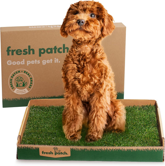 Real Grass Patch for Dogs, Cats, and Small-Medium Pets Under 15 Pounds – Disposable Pet Grass Pee Pads – Indoor and Outdoor Potty Training Mat (16 Inches x 24 Inches)
