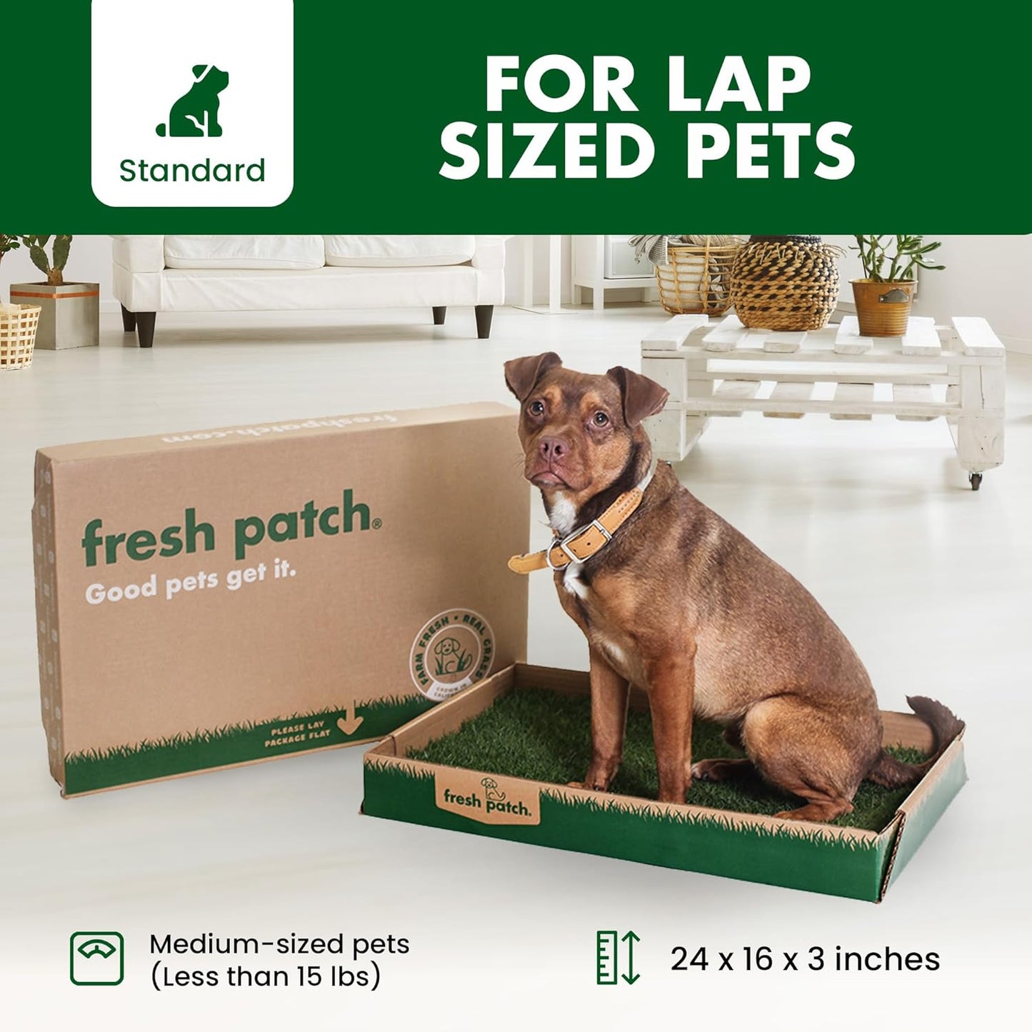 Real Grass Patch for Dogs, Cats, and Small-Medium Pets Under 15 Pounds – Disposable Pet Grass Pee Pads – Indoor and Outdoor Potty Training Mat (16 Inches x 24 Inches)