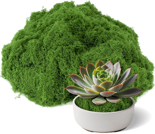 Fake Green Moss for Potted Plants Indoor, 3.5 OZ Artificial Moss for Crafts, Decorative Faux Grass for Fairy Garden, DIY Table Centerpieces, Model Making, Wedding Floral Decor, Terrarium & Home Decor