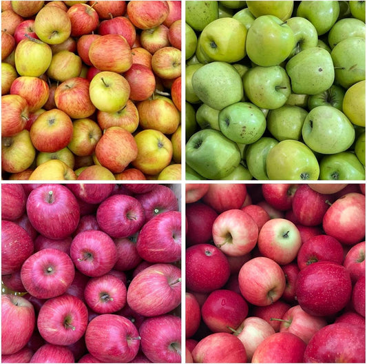 50Pcs Premium Apple Seeds for Planting - Hardy Fruit Trees, Ideal for Home Containers