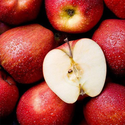 50Pcs Premium Apple Seeds for Planting - Hardy Fruit Trees, Ideal for Home Containers