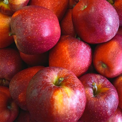 50Pcs Premium Apple Seeds for Planting - Hardy Fruit Trees, Ideal for Home Containers