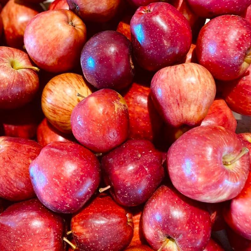 50Pcs Premium Apple Seeds for Planting - Hardy Fruit Trees, Ideal for Home Containers