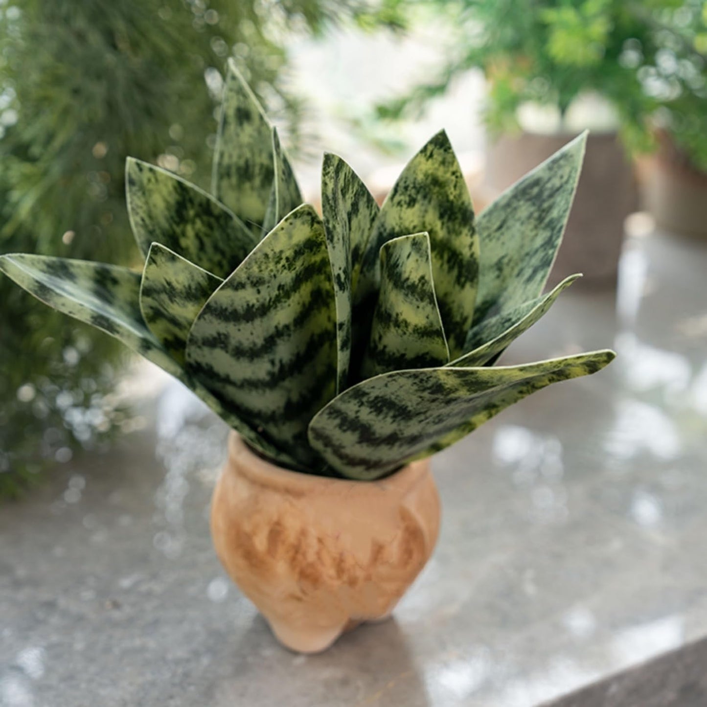 4 Pcs Artificial Snake Plants,Faux Snake Plant 7.48" Tropical Fake Plants Mini Tongue Plant for Home, Office & Garden Décor,Without Vase (Greenish-Yellow)