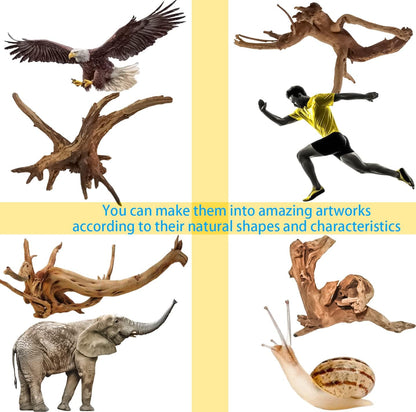 8-Pack Natural Driftwood, Sinkable Spider Wood (3.15''-4'') | Assorted Shapes Drift Wood, Aquarium Decor, Reptile Terrarium & Fish Tank Wood Branches Decoration