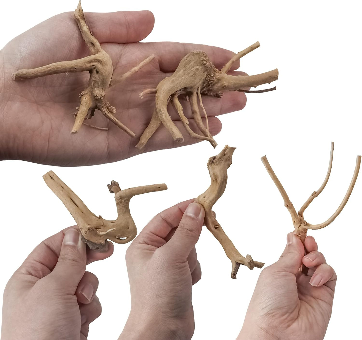 8-Pack Natural Driftwood, Sinkable Spider Wood (3.15''-4'') | Assorted Shapes Drift Wood, Aquarium Decor, Reptile Terrarium & Fish Tank Wood Branches Decoration