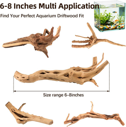 8-Pack Natural Driftwood, Sinkable Spider Wood (3.15''-4'') | Assorted Shapes Drift Wood, Aquarium Decor, Reptile Terrarium & Fish Tank Wood Branches Decoration