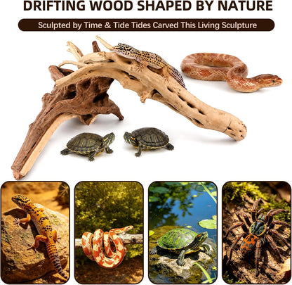 8-Pack Natural Driftwood, Sinkable Spider Wood (3.15''-4'') | Assorted Shapes Drift Wood, Aquarium Decor, Reptile Terrarium & Fish Tank Wood Branches Decoration