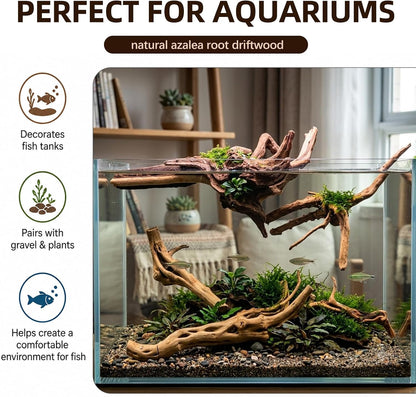 8-Pack Natural Driftwood, Sinkable Spider Wood (3.15''-4'') | Assorted Shapes Drift Wood, Aquarium Decor, Reptile Terrarium & Fish Tank Wood Branches Decoration