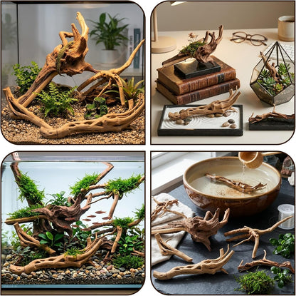 8-Pack Natural Driftwood, Sinkable Spider Wood (3.15''-4'') | Assorted Shapes Drift Wood, Aquarium Decor, Reptile Terrarium & Fish Tank Wood Branches Decoration