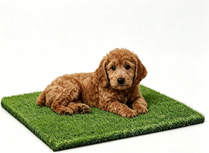 Artificial Grass, 47.3"x31.5" Professional Dog Grass Mat, Potty Training Rug and Replacement Turf Outdoor Rug Patio Lawn Decoration, Easy to Clean with Drainage Holes(47.3x31.5 inches)