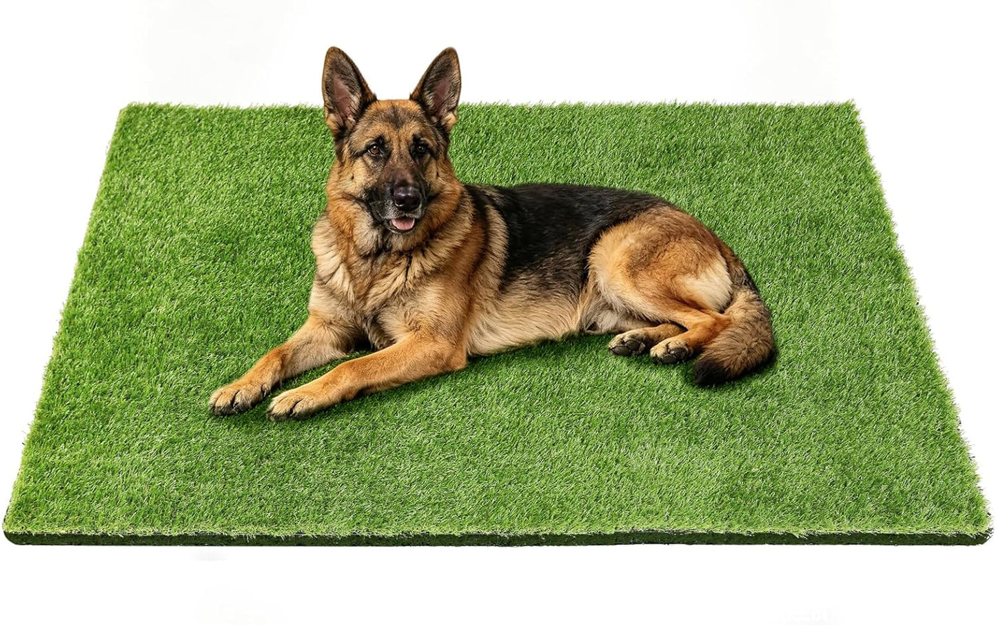 48" x 32" Premium Artificial Grass Mat for Dogs Cats | Washable Fake Turf Rug for Pet Pee Potty Training Patio Lawn Balcony Door Decoration