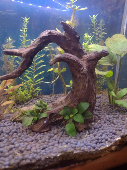 Aquarium Driftwood Decor Set - 1 Anubias Resin Model & 3Pcs Small Natural Driftwood 2-4 inch for Aquascaping, Fish Tank Landscape Design