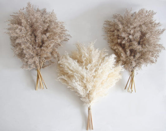 60 PCS Boho Decor, Fluffy Pompas Grass, Natural Dry Pampas Grass Small, Short Pampass Bulk for Boho Room Decor, Coffee Table Decor (17 inch )