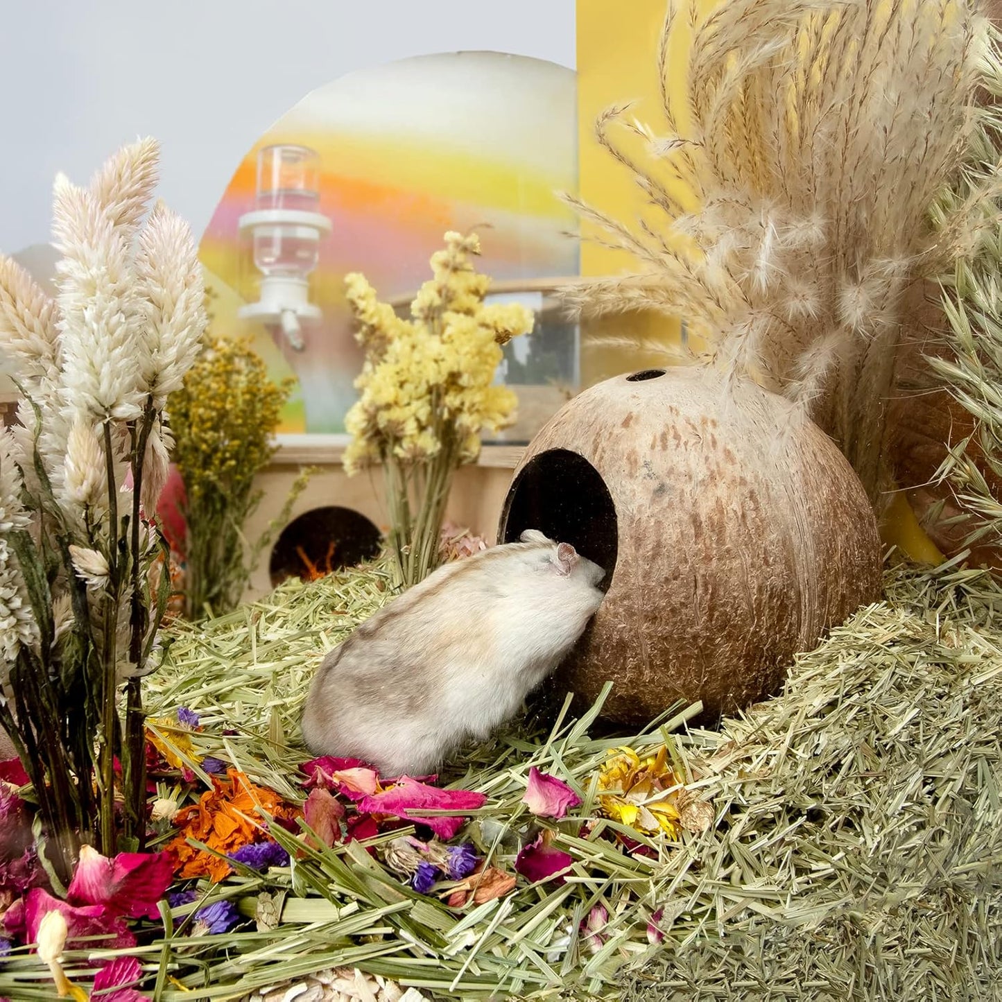 Coconut Hut Hamster House Bed for Gerbils Mice Small Animal Cage Habitat Decor