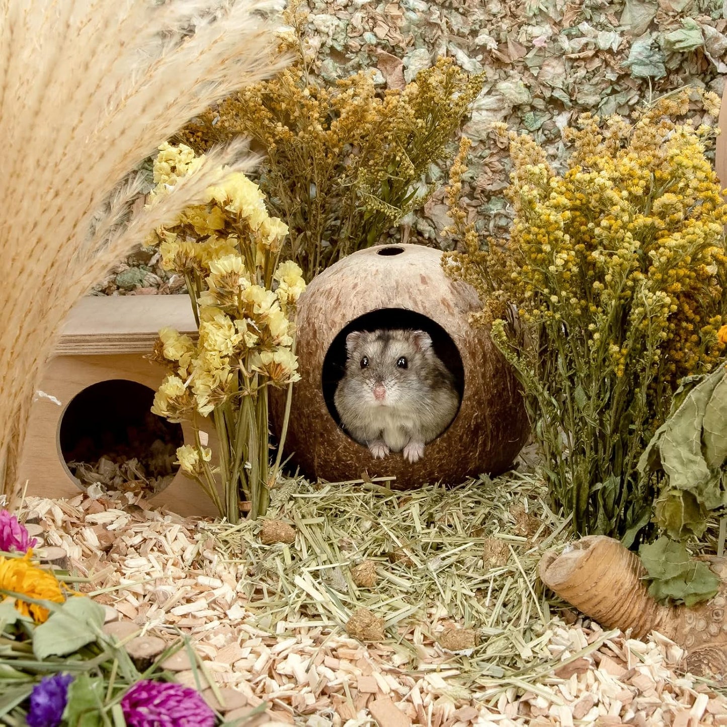 Coconut Hut Hamster House Bed for Gerbils Mice Small Animal Cage Habitat Decor
