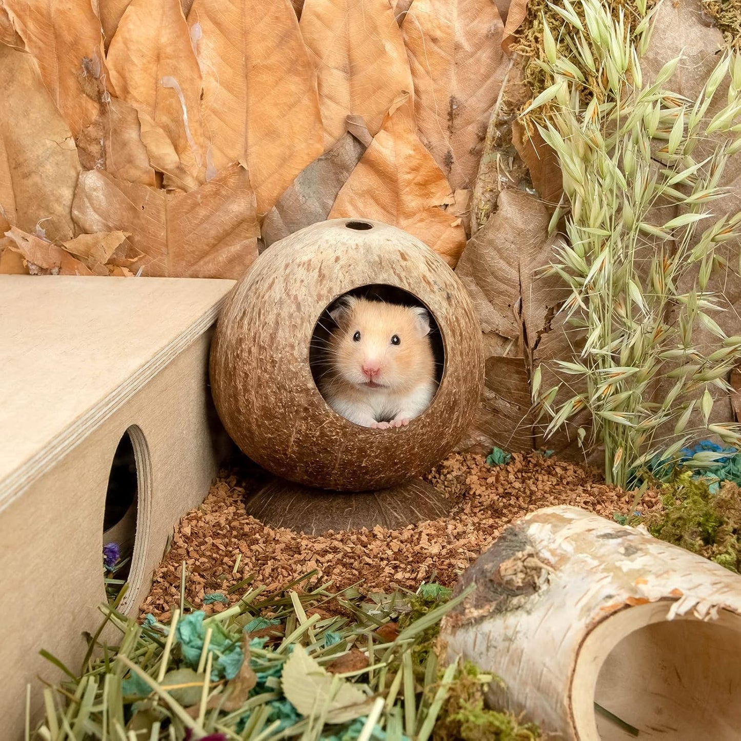 Coconut Hut Hamster House Bed for Gerbils Mice Small Animal Cage Habitat Decor