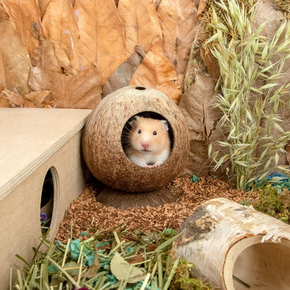 Coconut Hut Hamster House Bed for Gerbils Mice Small Animal Cage Habitat Decor