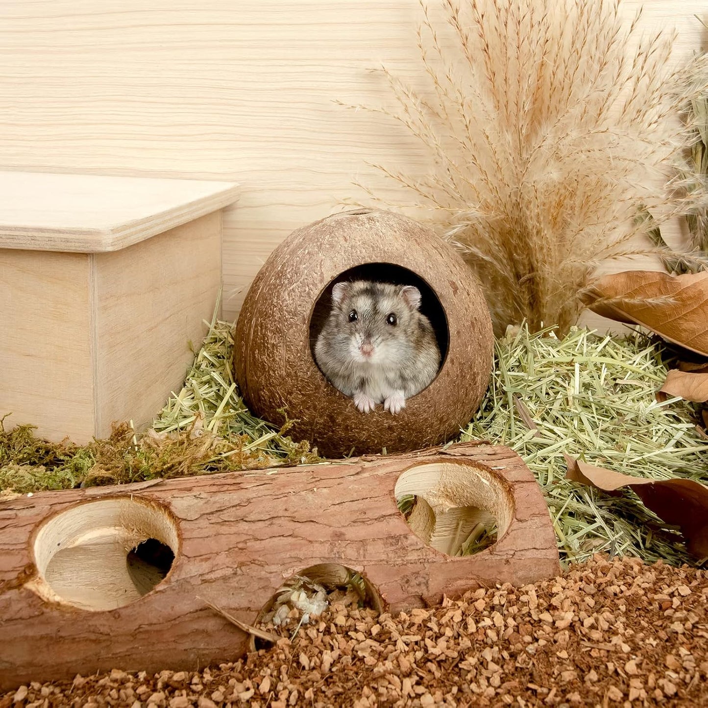Coconut Hut Hamster House Bed for Gerbils Mice Small Animal Cage Habitat Decor