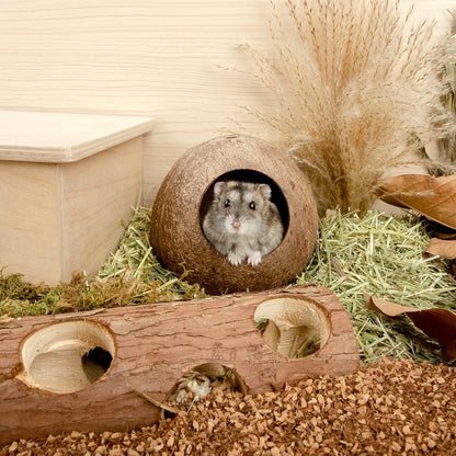 Coconut Hut Hamster House Bed for Gerbils Mice Small Animal Cage Habitat Decor